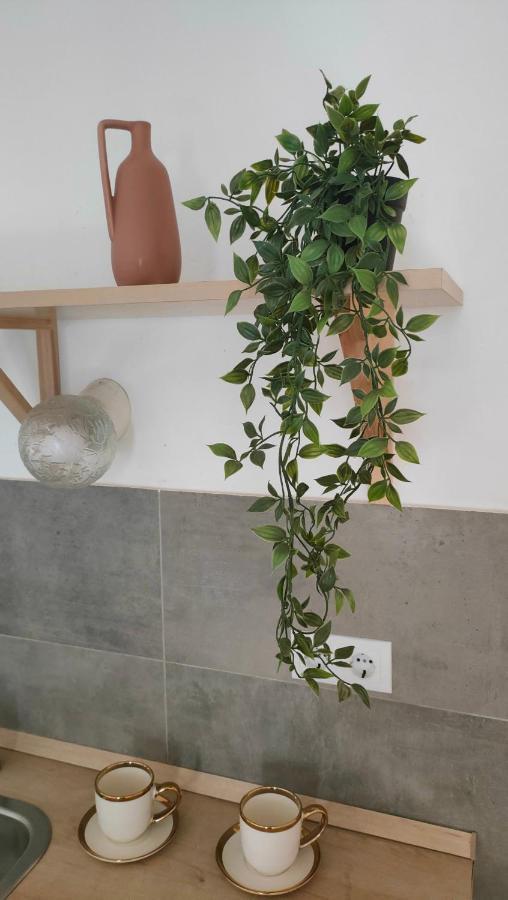 Super Cozy & Central Apartment Βουδαπέστη Εξωτερικό φωτογραφία